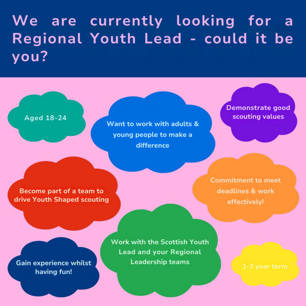 Regional Youth Lead 