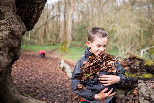 cub_carrying_leaves