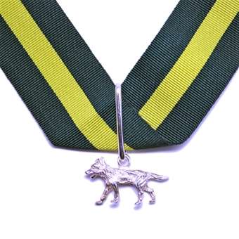 silver_wolf